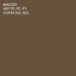#66523D - Costa Del Sol Color Image